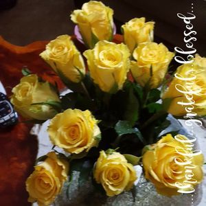 Meet your Posher, Luerine